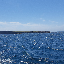 엄격한고양이141