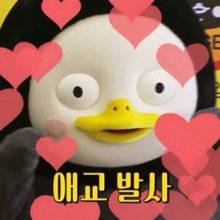 러블리한숲새69