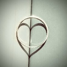 영리한그늘나비165