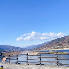 세심한이구아나58