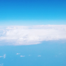 깔끔한그늘나비287