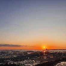 수줍은미어캣95