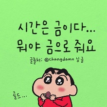 고결한아나콘다208