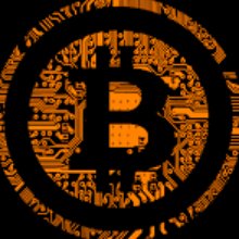 세련된코끼리33