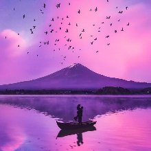 정겨운고라니192