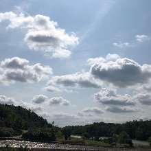 아리따운비버185