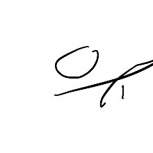 꽃다운얼룩말31