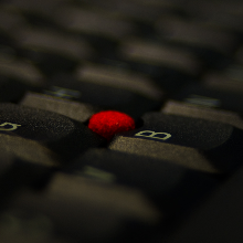 남다른부전나비260