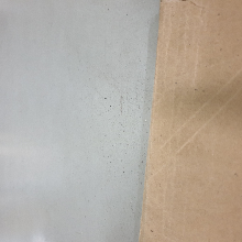 클래식한도마뱀91