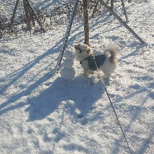 시뻘건황여새171