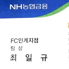 농협손해보험 전속 최팀장