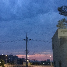 친절한바위새83