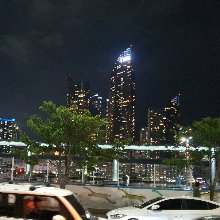 고귀한앵무새24