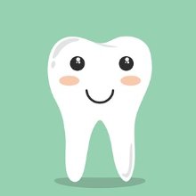 비상한고양이150