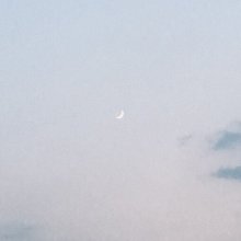 포근한족제비280