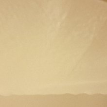 고혹적인뿔영양297