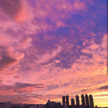 한결같은하마146