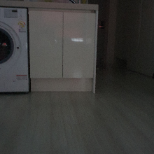 반가운강아지261