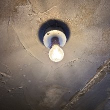 늠름한메뚜기10