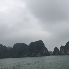 영특한조롱이21