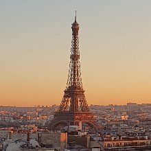 완강한소쩍새53