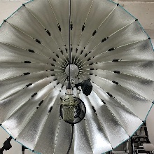 잘웃는바다꿩154