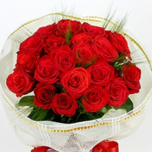 클래식한밀잠자리187