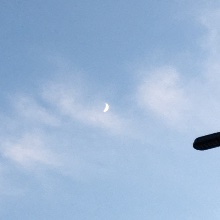 인자한앵무새239