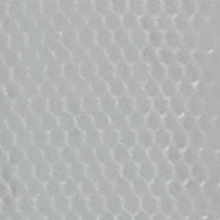 뽀얀사슴벌레283