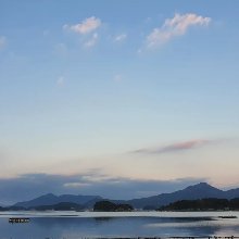 굉장한오랑우탄291