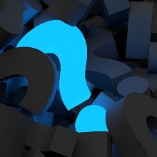 늘씬한칠면조228