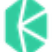 수줍은이구아나17
