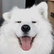 풋풋한쿠스쿠스103