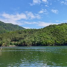 유연한사랑새186