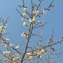 귀여운 고양이 🐱