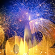 냉정한무당벌레83