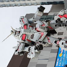 너그러운태양새139