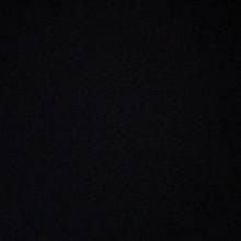 영특한도마뱀295