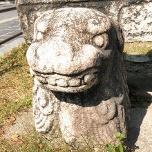 성실한땅돼지197