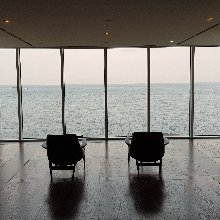 지혜로운콜리116