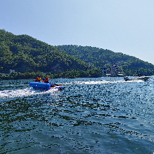 곰살맞은퓨마202