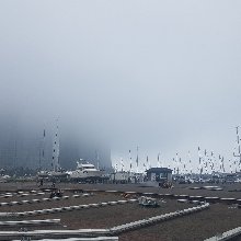 강렬한청가뢰235