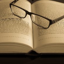 지적인조롱이61