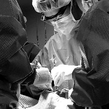 치과의사 박종열