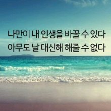 우아한공작새147