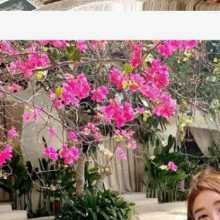 공정한크낙새233