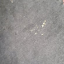 냉철한나팔새86