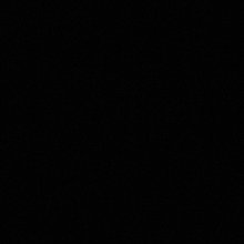 날씬한무희새290