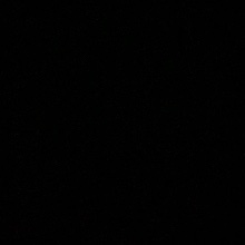 청렴한바다꿩269