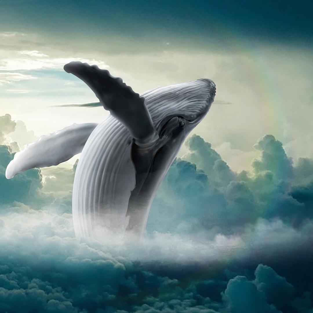 주식에서 매도가 매수보다 많으면 주가가 상승하는 이유? ㅣ 궁금할 땐, 아하!